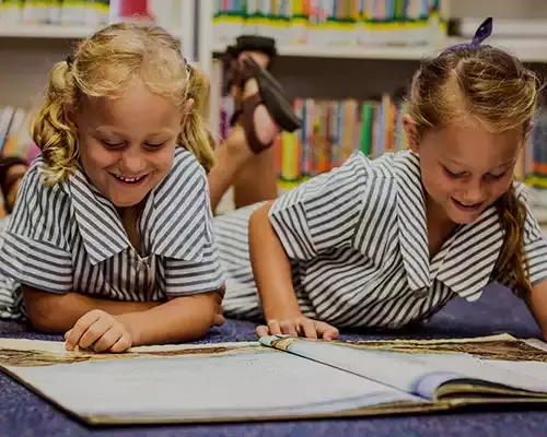 Primary School Library